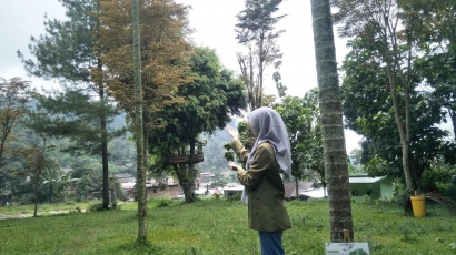 Monitoring Bumi Perkemahan Dusun Pengajaran, Desa Galengdowo dan Perawatan Tanaman dengan Pupuk Organik Cair