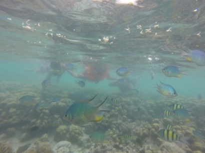 Menikmati Keindahan Bawah Air di Pulau Asok