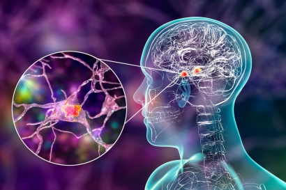 Apakah Ada Hubungannya Antara Otak dan Emosi Manusia?