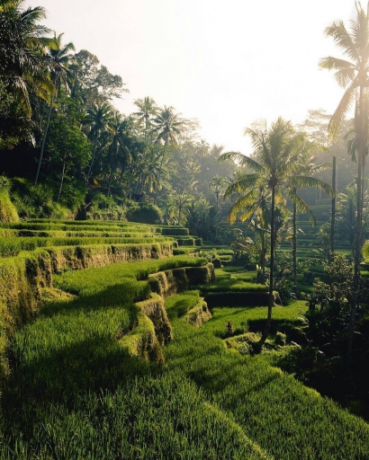 5 Tempat Wisata Bali yang Wajib Dikunjungi Saat Pariwisata Pulih
