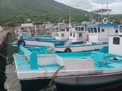 Penangkapan Ikan Menggunakan Pole and Line di Daerah Indonesia Bagian Timur