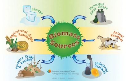 Pemanfaatan Biomassa sebagai Sumber Energi Alternatif untuk Masa Depan