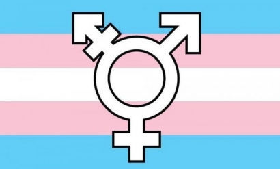Transgender dalam Lingkup Pandangan Masyarakat Indonesia