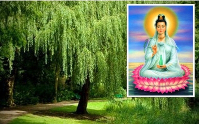 Mengenal Yang Liu, Janda Merana yang Identik dengan Dewi Kwan Im