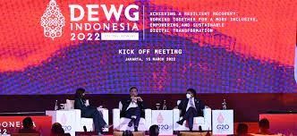G20: Edukasi Inklusi Keuangan Digital dalam Digital Economy Working Group (DEWG)