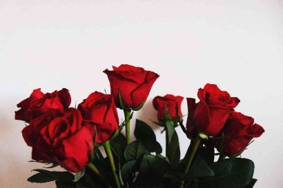 Rayakan Hari Mawar Merah Sedunia, Intip Fakta Unik Bunga Romantis ini!