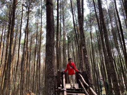 Hutan Pinus Mangunan, Objek Wisata yang Cocok untuk Menenangkan Pikiran atau 'Forest Healing'