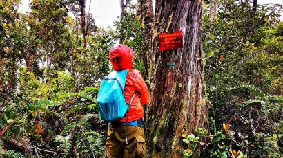 Hiking ke Puncak Garuda 2.891 mdpl, Puncak Sejati Gunung Marapi yang Jarang Dijamah