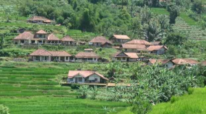 Sejarah Awal Masyarakat Desa Karya Makmur di Kabupaten Pasaman Barat