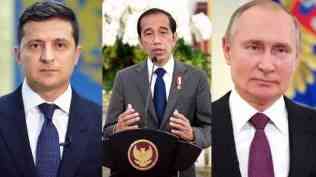 Setidaknya, Jokowi Berhasil Menengahi Putin dan Zelensky
