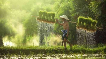 Wajah Perlindungan Petani Indonesia