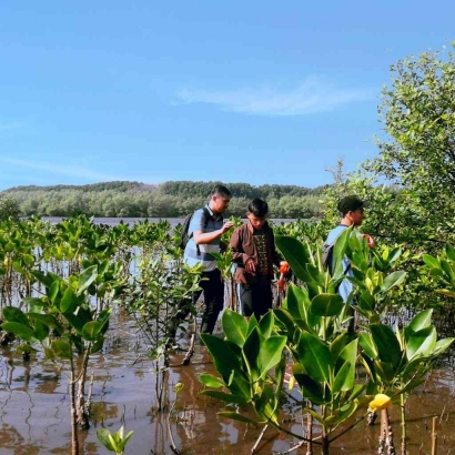 Indonesia Punya Mangrove yang Mendunia