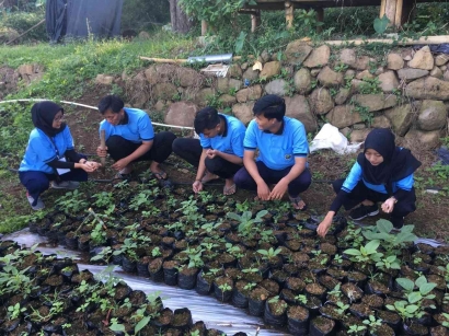 Upaya Penghijauan Lingkungan, Mahasiswa KKN UM Melakukan Kerja Bakti Penanaman Bibit Pohon di Desa Padusan