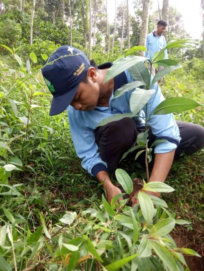Mahasiswa KKN UIN Walisongo Semarang Memanfaatkan Tanah Kas Desa guna Ditanami Bibit Pohon