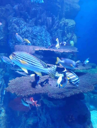 The Jakarta Aquarium