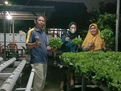 Peluang Bisnis Hidroponik! Mahasiswa KKN FEB Undip Membuat Analisis Bisnis Hidroponik di Kelurahan Salamanmloyo Kota Semarang