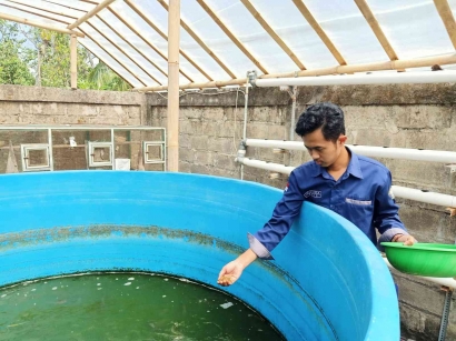 Mahasiswa KKN Undip Mengubah Sampah Organik Menjadi Biokonversi Maggot BSF sebagai Pakan Alternatif Ikan Budidaya