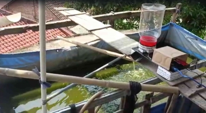 Peternak Ikan Hemat Tenaga dan Waktu! Mahasiswa KKN Undip Ciptakan Alat Pakan Ikan Otomatis