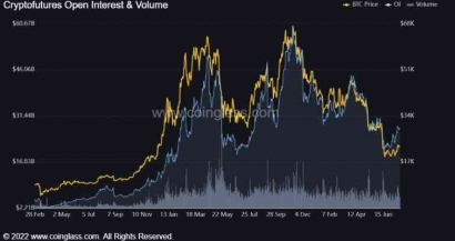 Bintang Kejora Bear Market: Crypto