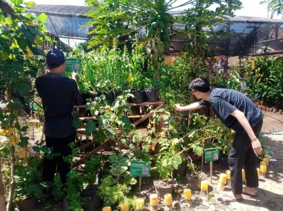 Luar Biasa! Kebun TOGA Desa Banyuanyar Satu-Satunya Kebun TOGA yang Menggunakan Teknologi QR Code