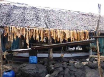 Dendeng Ikan Paus, Krandi Watar dan Padi Ruas Bambu
