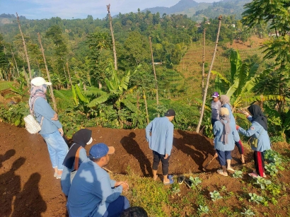 KKN Tematik UPI 2022: Pendataan dan Kerja Nyata pada Buruh Tani di Desa Lamajang