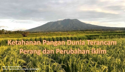 Ketahanan Pangan Dunia Terancam Perang dan Perubahan Iklim