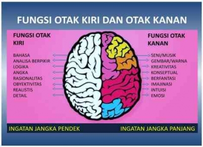 Bagaimana Cara Otak Kita Belajar?