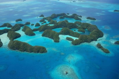 Raja Ampat di Antara Palau dan Destinasi Wisata Premium