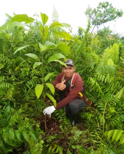 LDPHD Banjar Lestari Tanam Pohon di Lokasi Hutan Desa