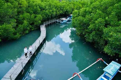 Wajib Melestarikan Hutan Mangrove, Hutan Pereduksi Emisi Karbon