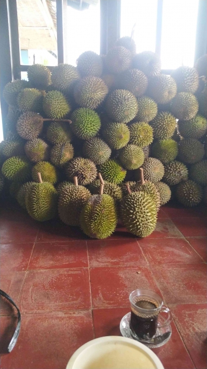 Berburu Durian di September Ceria