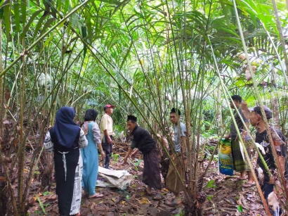 Warga Dusun Mulyoarjo Lebih Memilih Berkebun Salak, Mengapa Demikian?