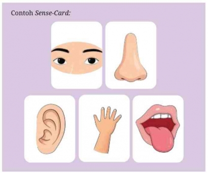 Sense Card  Game untuk Meningkatkan Sensibility pada Anak
