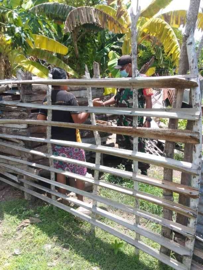 Monitoring Wilayah Binaan Serda Jasinto Meco Cek Kondisi Ternak Warga yang Sakit