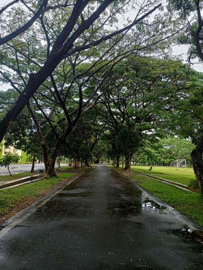 Koridor Alam Berdinding Pohon