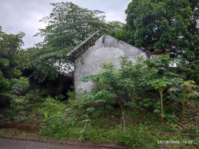 Pemanfaatan Lahan Sempit sebagai Mini Garden dan Penyedia Bumbu Dapur Cadangan di Perumahan Jatisari, Kota Semarang