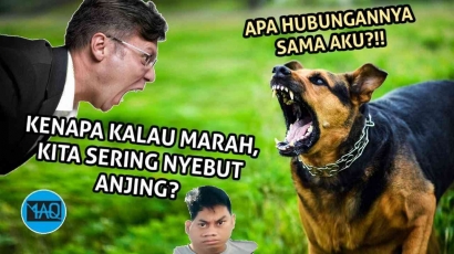 Kenapa Orang Indonesia Suka Misuh Pakai Nama Binatang? Emangnya Mereka Salah Apa, Sih?