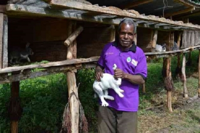 Ayub Kogoya, Kader Kesehatan yang Beternak Kelinci