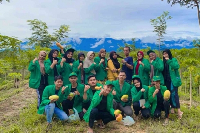 Mahasiswa KKN Kelompok 49 Melakukan Kunjungan ke Kebun Pepaya Mencari Masalah Penyakit pada Pepaya di Gampong Pase Sentosa
