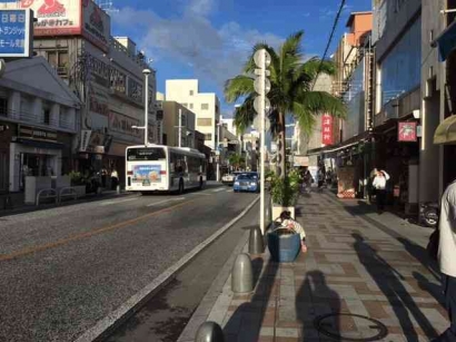 Agu, Babi Berkacamata, dan Pepaya Harga Jutaan Rupiah di Okinawa