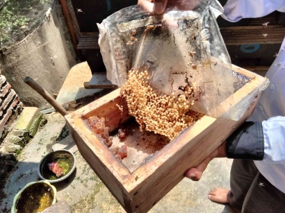 Budidaya Lebah Klanceng: Harapan Baru Sanenrejo, Sang Penyangga Konservasi
