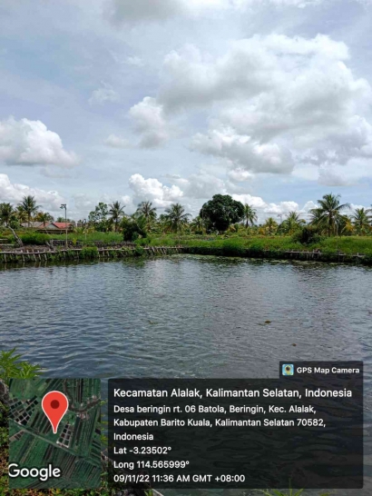Bentuk Pengelolaan dan Budidaya Lahan Basah di Kecamatan Alalak, Kalimantan Selatan