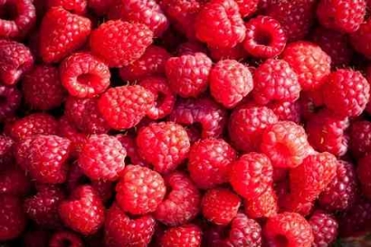 Mengenal lebih dalam tentang hubungan senyawa fenolik dan aktivitas antioksidan pada genotipe buah dan daun Raspberry dengan penanda marker SSR