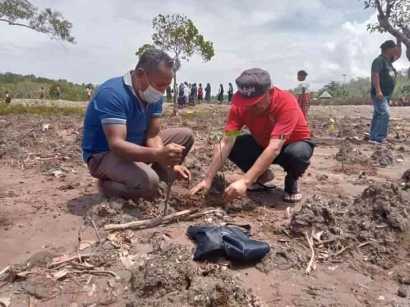 Aksi Bersama Penanaman 1000 Mangrove di Sepanjang Pantai Motaain