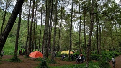 Menikmati Suasana Hutan Pinus di Bedengan Selorejo Dau