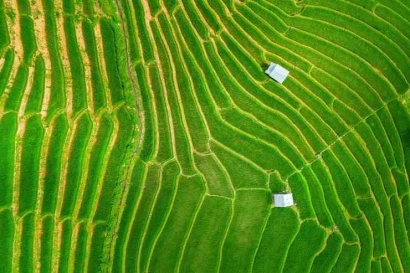 Manfaat Kemajuan Teknologi Pertanian Dalam Kegiatan Bertani | Crowde Membangun Bangsa