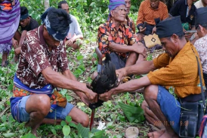 Festival Wai Humba: Ziarah Bersama Menyelamatkan "Ibu Bumi"