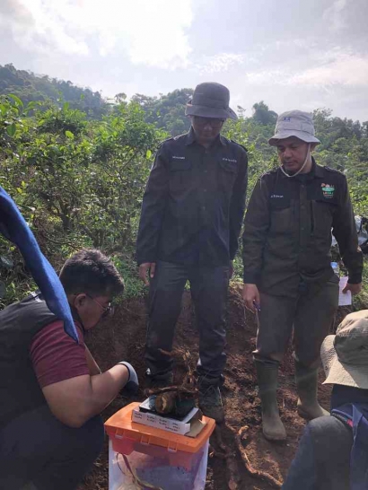 Dukung Kesejahteraan Petani, Tim OVOC IPB Lakukan Pelatihan Sambung Pucuk Alpukat di Desa Jayamekar (Blok Halimun)