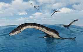 Kisah Kisah: Monster Danau Ness, Binatang Mistis Penunggu Danau Skotlandia